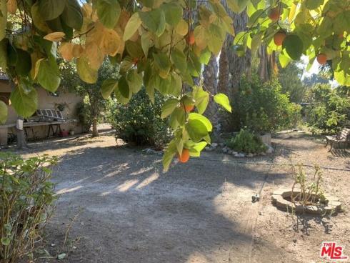 31523 Aguacate Road, San Juan Capistrano, CA