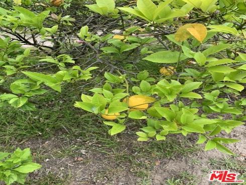 31523 Aguacate Road, San Juan Capistrano, CA