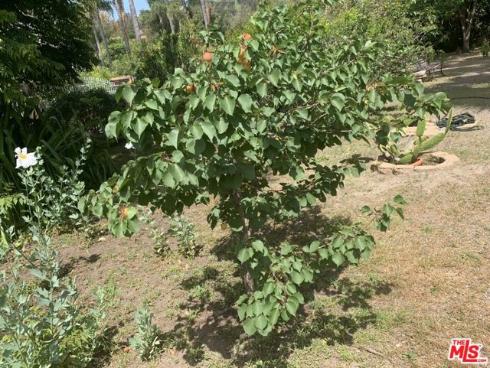 31523 Aguacate Road, San Juan Capistrano, CA