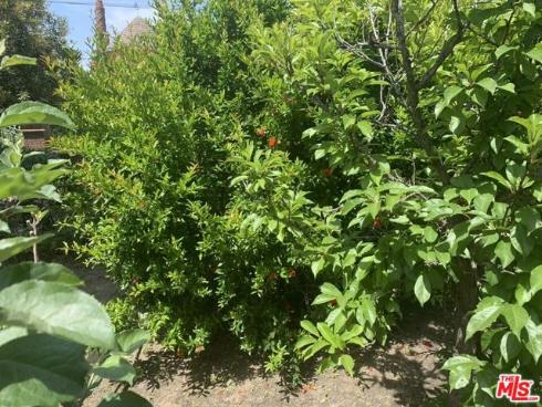 31523 Aguacate Road, San Juan Capistrano, CA