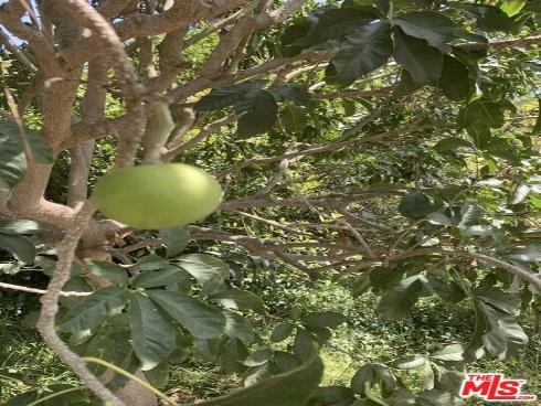 31523 Aguacate Road, San Juan Capistrano, CA