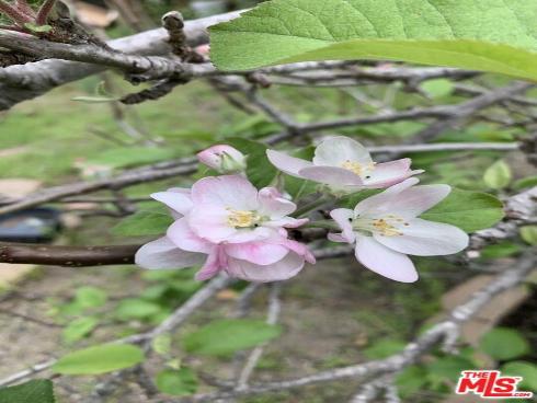 31523 Aguacate Road, San Juan Capistrano, CA