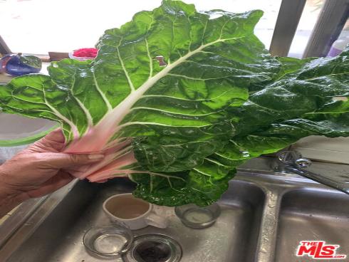 31523 Aguacate Road, San Juan Capistrano, CA