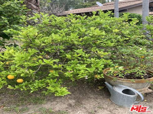 31523 Aguacate Road, San Juan Capistrano, CA