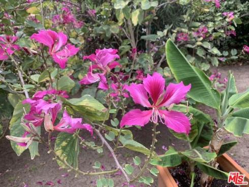 31523 Aguacate Road, San Juan Capistrano, CA