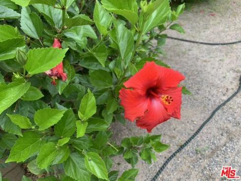 31523 Aguacate Road, San Juan Capistrano, CA