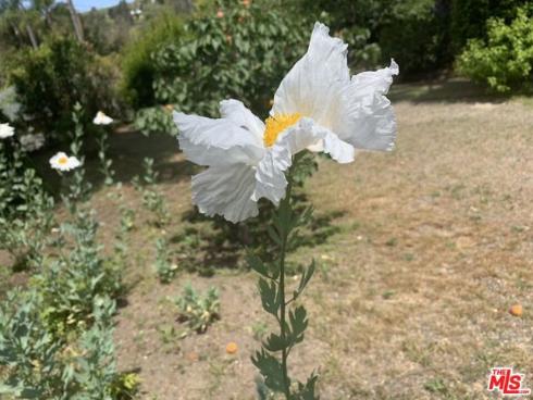 31523 Aguacate Road, San Juan Capistrano, CA