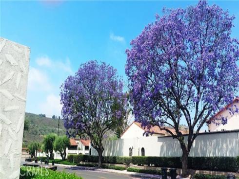 30828 Calle Chueca , San Juan Capistrano, CA