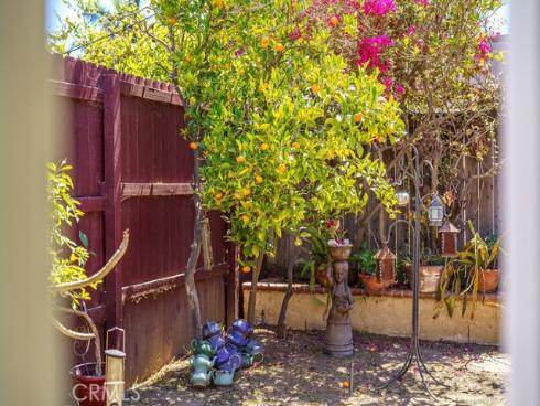 31085 Via San Vicente , San Juan Capistrano, CA