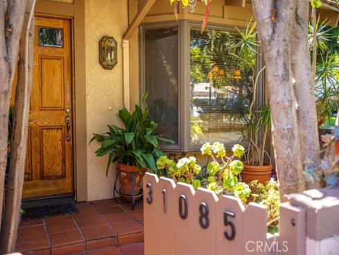 31085 Via San Vicente , San Juan Capistrano, CA