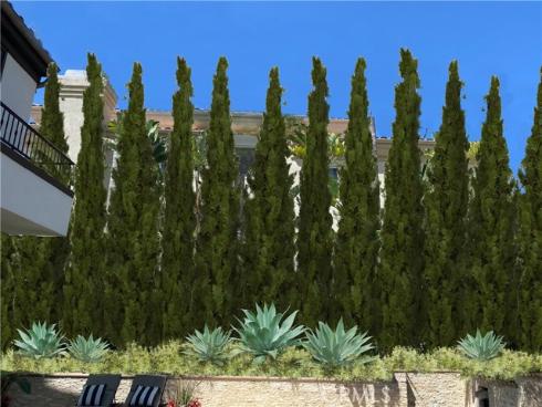 30372 Marbella Vista , San Juan Capistrano, CA