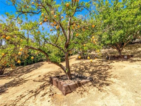 27151 Mission Hills Drive, San Juan Capistrano, CA