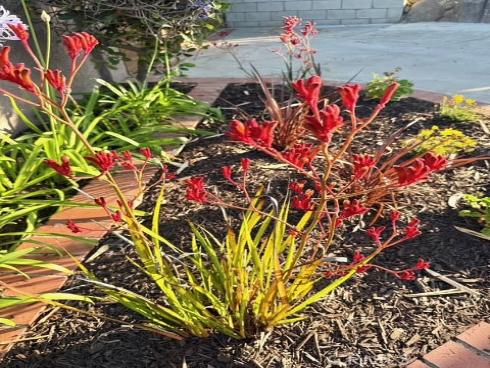 25842 Calle Ricardo , San Juan Capistrano, CA