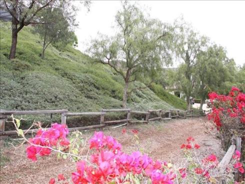 31032 Via Estenaga , San Juan Capistrano, CA