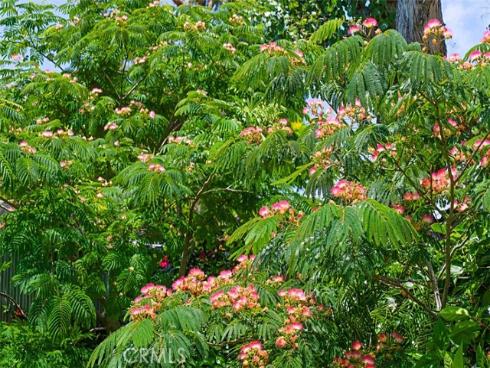 32122 Via Alicia , San Juan Capistrano, CA