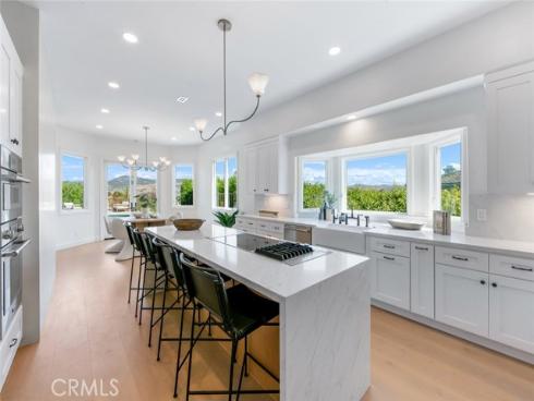 30932  Steeplechase   Drive, San Juan Capistrano, CA