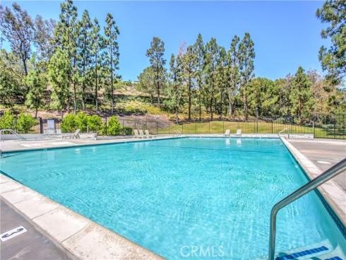 33102 Halfmoon Court, San Juan Capistrano, CA