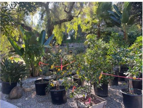 27401  Ortega  , San Juan Capistrano, CA