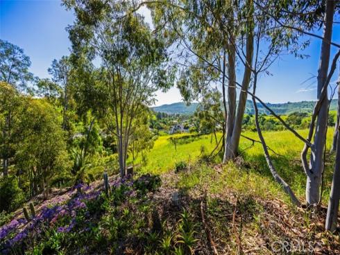 26841  Windsor Drive  , San Juan Capistrano, CA