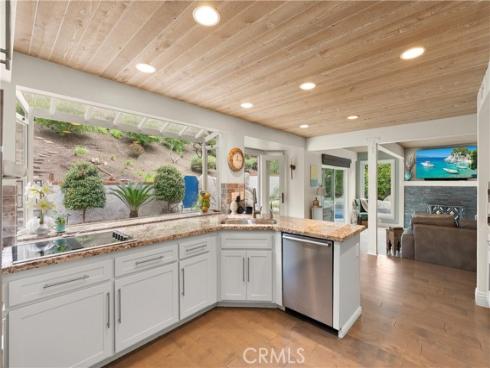 29771  Monarch   Drive, San Juan Capistrano, CA