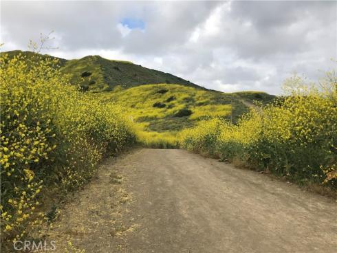 29771  Monarch   Drive, San Juan Capistrano, CA