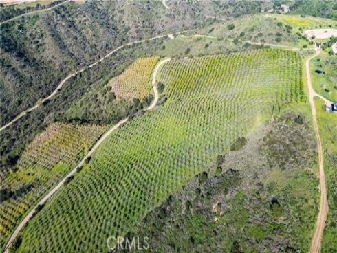 39250  Ortega Highway  , San Juan Capistrano, CA