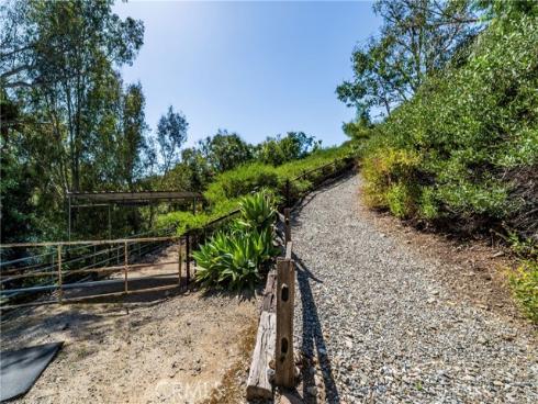 29612  Spotted Bull  , San Juan Capistrano, CA