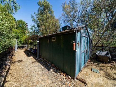 29612  Spotted Bull  , San Juan Capistrano, CA