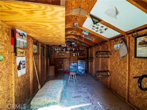 29612  Spotted Bull  , San Juan Capistrano, CA