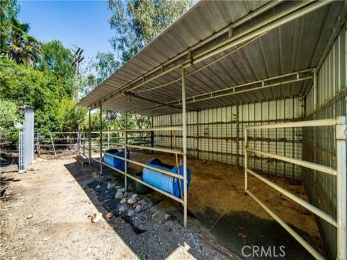 29612  Spotted Bull  , San Juan Capistrano, CA