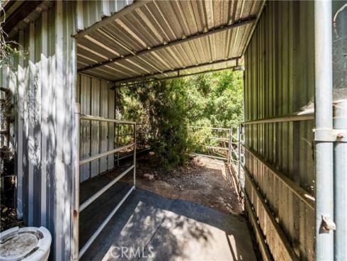 29612  Spotted Bull  , San Juan Capistrano, CA