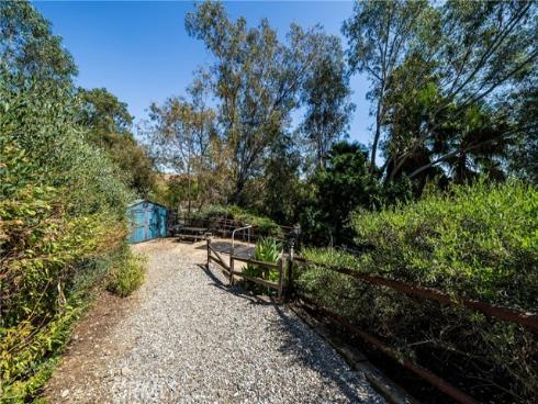 29612  Spotted Bull  , San Juan Capistrano, CA