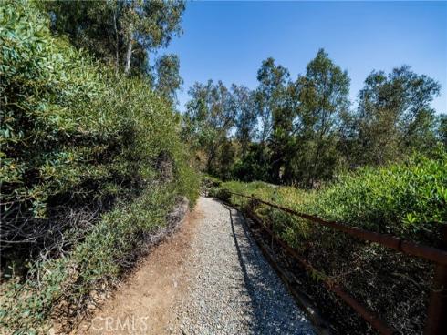 29612  Spotted Bull  , San Juan Capistrano, CA