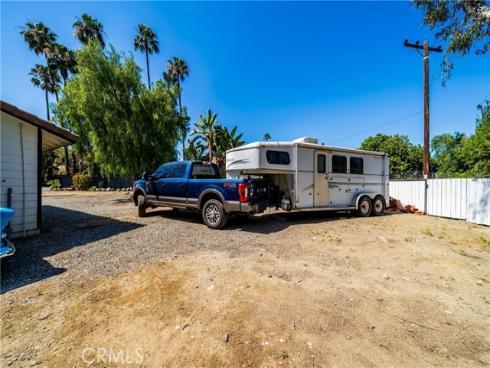 29612  Spotted Bull  , San Juan Capistrano, CA