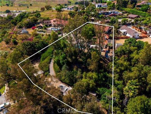 29612  Spotted Bull  , San Juan Capistrano, CA