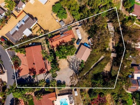 29612  Spotted Bull  , San Juan Capistrano, CA