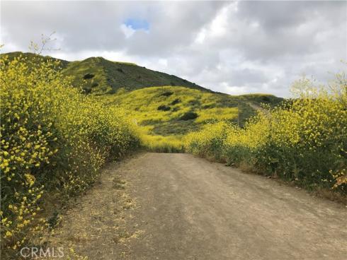 31111  Via Madera  , San Juan Capistrano, CA