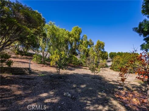 31561  Peppertree Bend  , San Juan Capistrano, CA