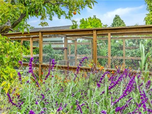31852  Paseo Alto Plano  , San Juan Capistrano, CA