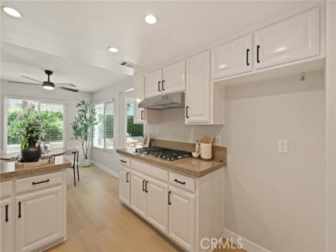 33022 Terrapin Court, San Juan Capistrano, CA
