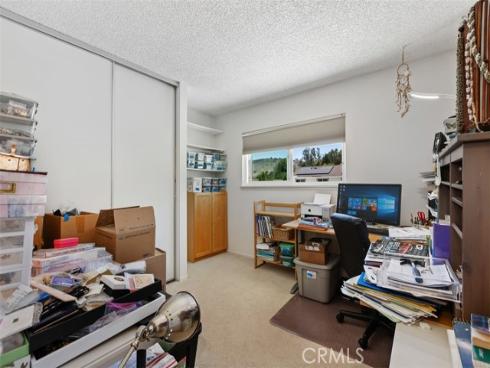 29562  Brook   Court, San Juan Capistrano, CA