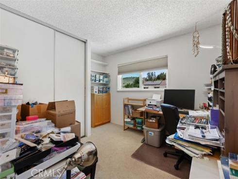 29562  Brook   Court, San Juan Capistrano, CA