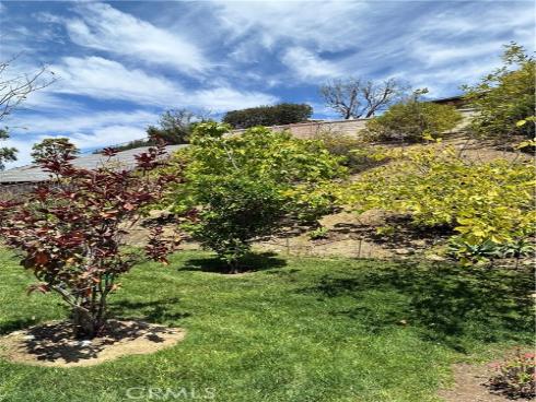31378 Juliana Farms Road, San Juan Capistrano, CA