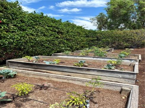31378 Juliana Farms Road, San Juan Capistrano, CA