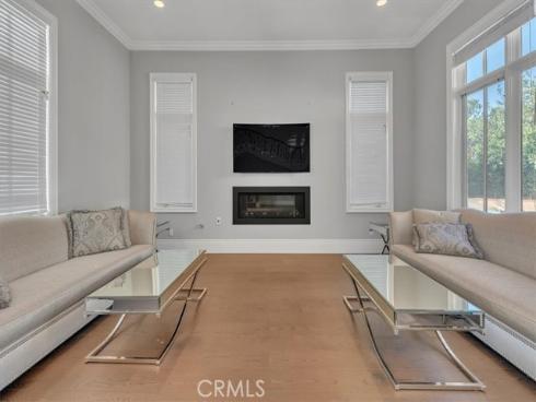 31378 Juliana Farms Road, San Juan Capistrano, CA