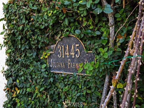 31445  Juliana Farms Road  , San Juan Capistrano, CA