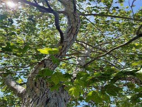 1111 W Sharon Road, Santa Ana, CA