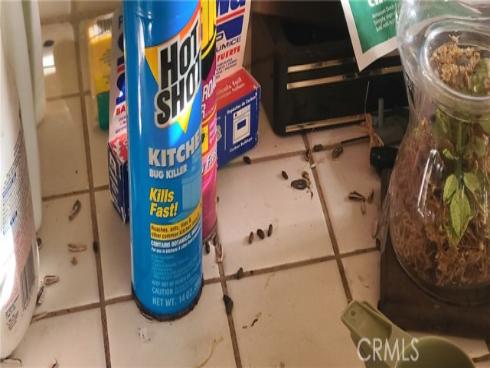 19542  Marcy   Drive, Santa Ana, CA