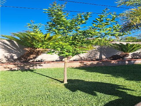 1605 S Birch   Street, Santa Ana, CA