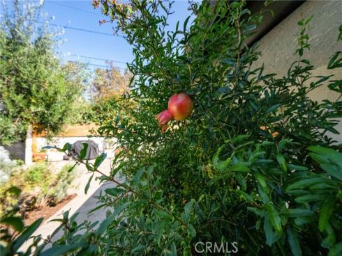 1109 W 21st   Street, Santa Ana, CA